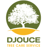 Djouce Tree Care Service